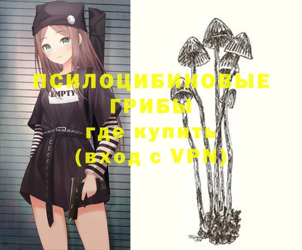 ГАЛЛЮЦИНОГЕННЫЕ ГРИБЫ Абаза