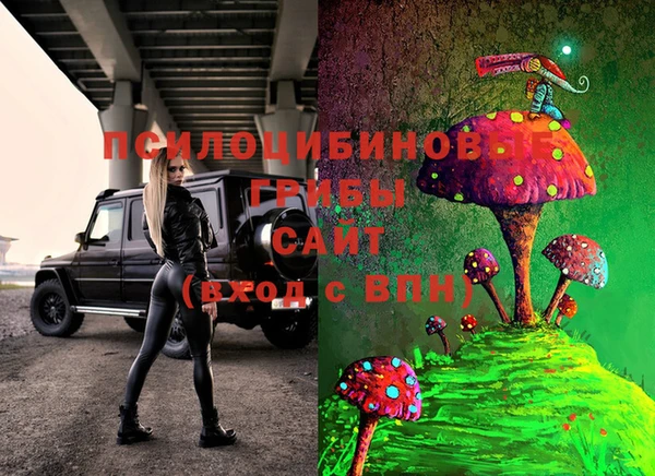 ГАЛЛЮЦИНОГЕННЫЕ ГРИБЫ Абаза